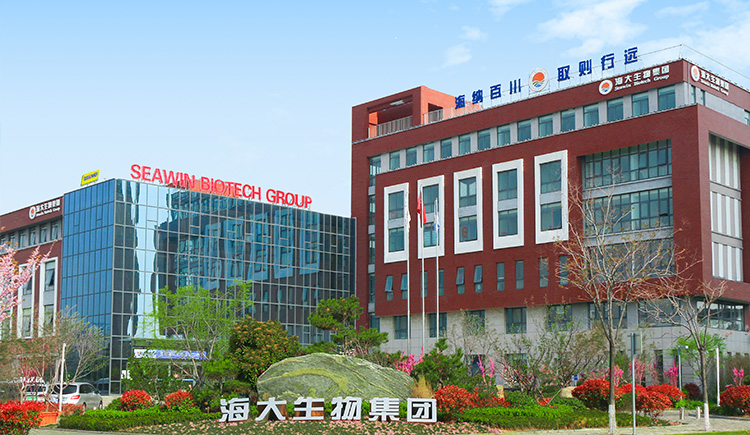开云（中国）kaiyun：加速产业升级，开启高质量发展新征程